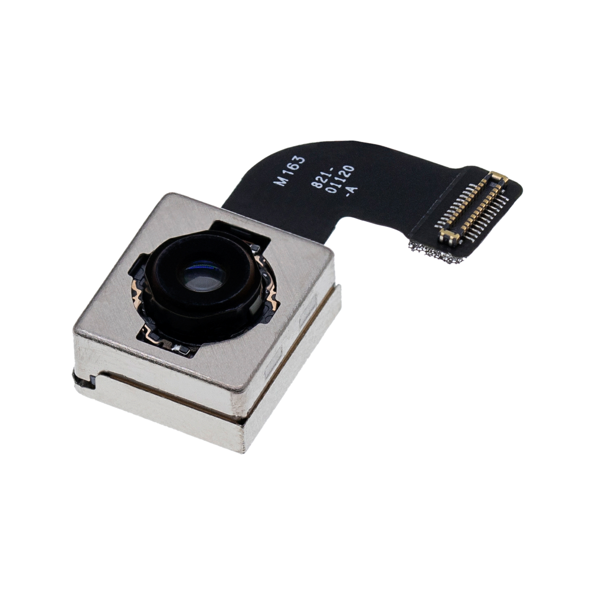 Rear Camera for iPhone 8 / SE (2020) angled front view